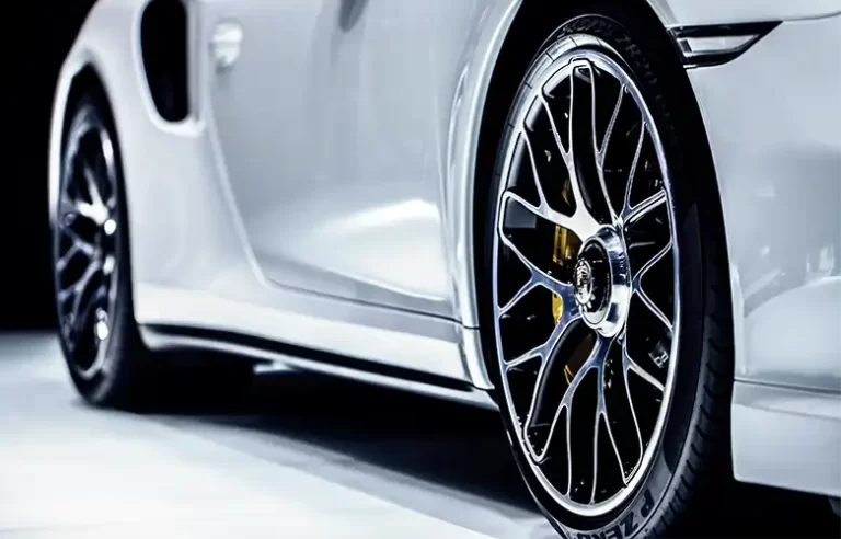 Yılan Yapısı 496311501